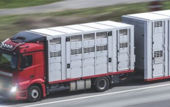 Conducători auto şi însoţitori care efectuează transport rutier de animale vii